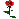 :rose