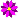 :flowerp2